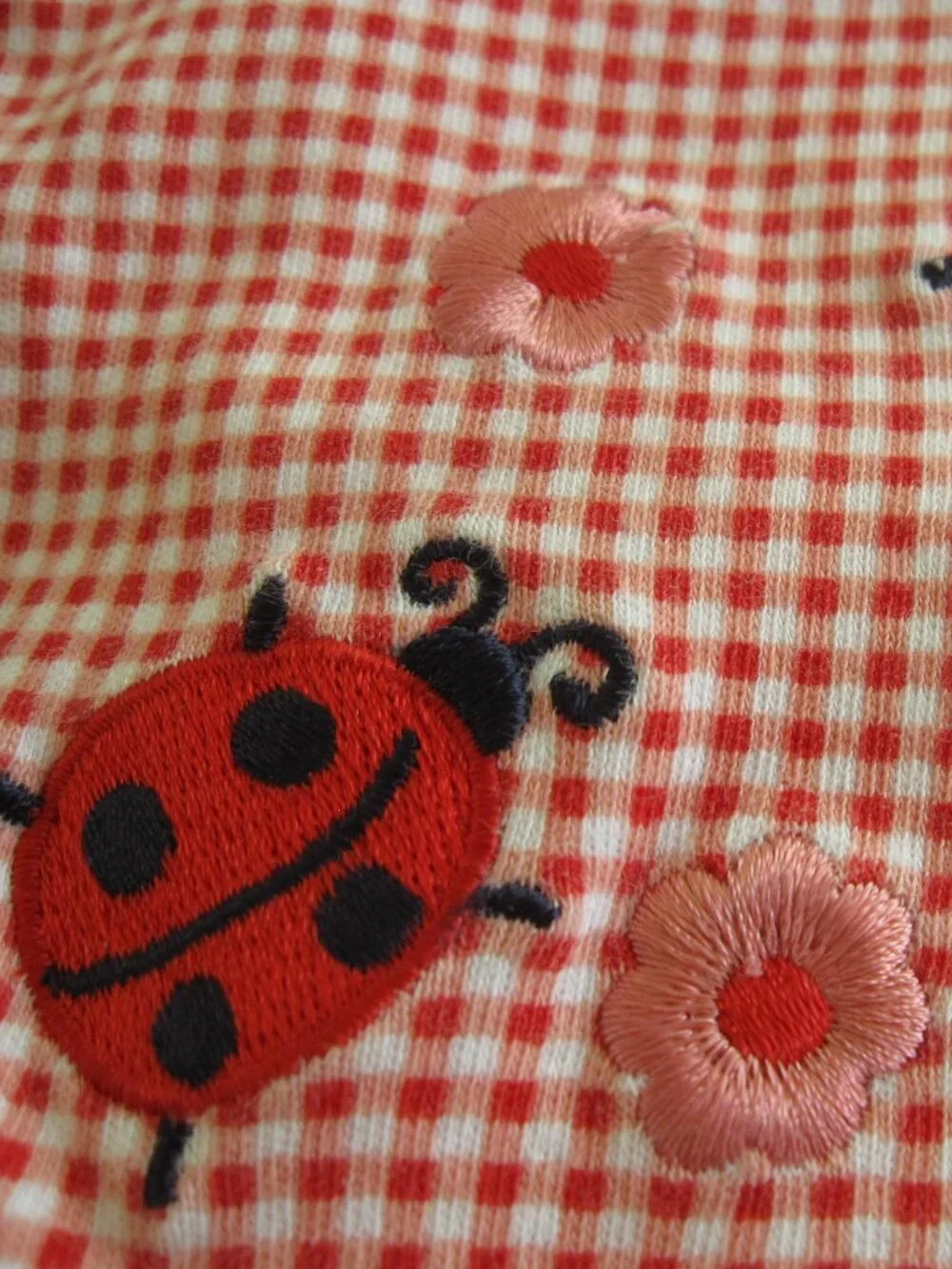Vintage Y2K Gymboree Red Ladybug Baby Blanket • Gingham Check • Rainbow Tag